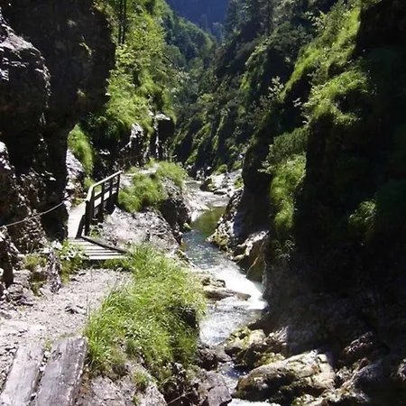 Haus Eicher Appartement Schneizlreuth