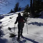 Haus Eicher Διαμέρισμα Schneizlreuth