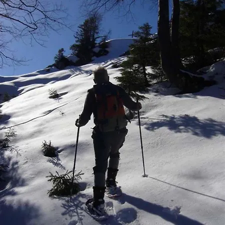 Haus Eicher 아파트 슈나이츨로이트