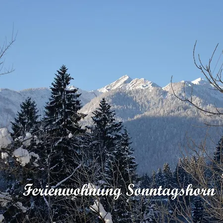 아파트 Haus Eicher 슈나이츨로이트