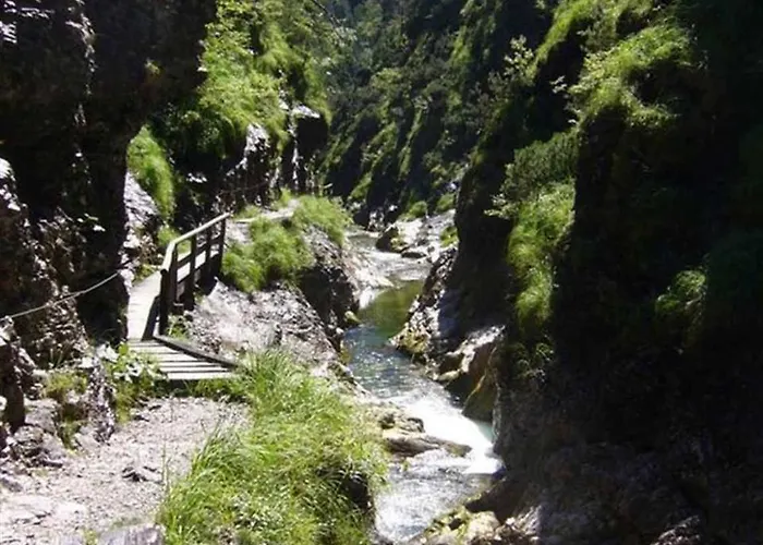 Haus Eicher Daire Schneizlreuth