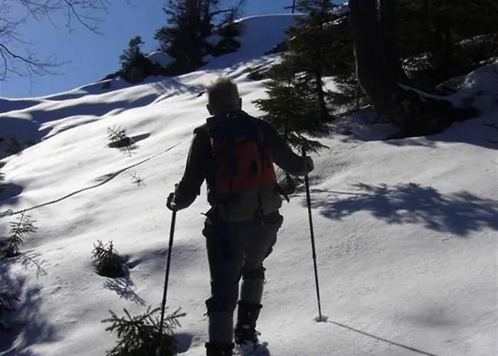 Haus Eicher Daire Schneizlreuth